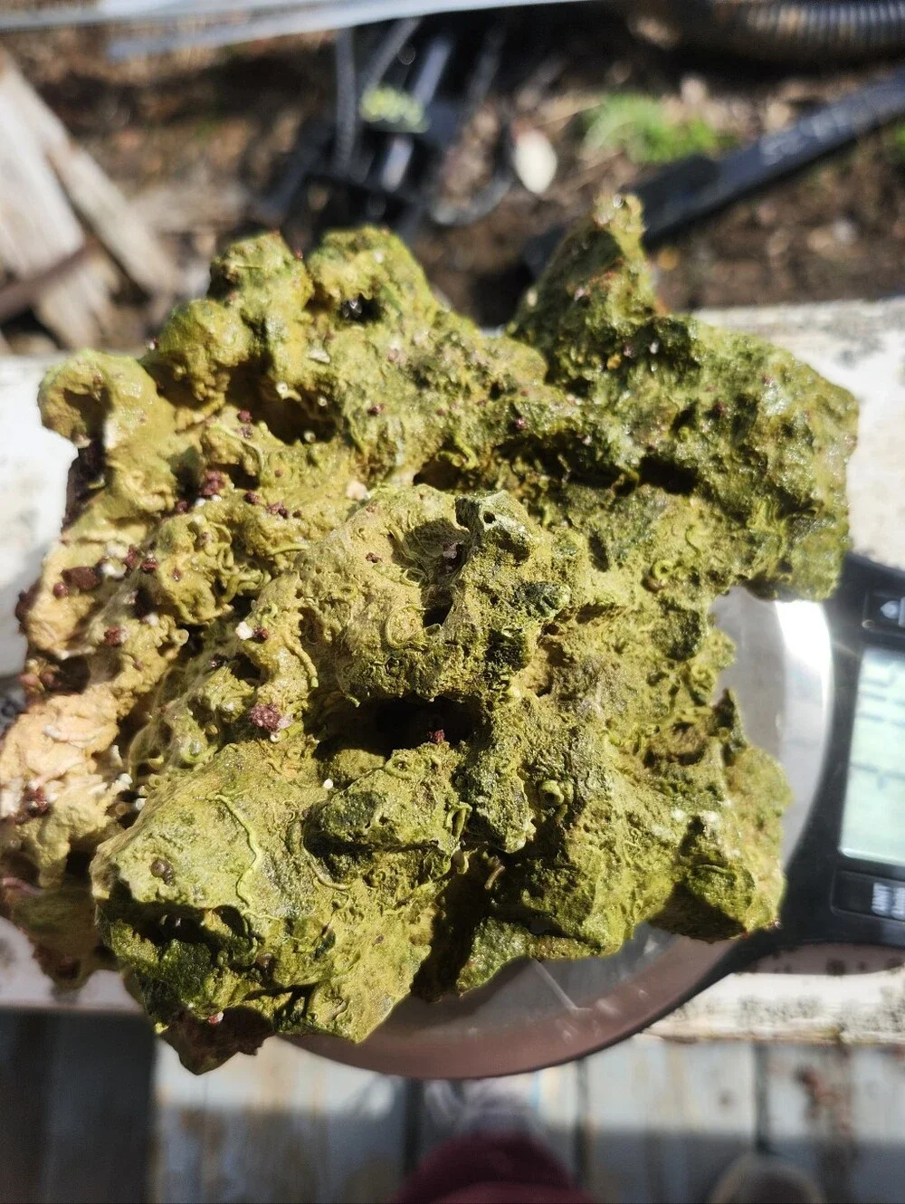 Fiji Dry Base Rock for Saltwater Aquarium Setup Natural Reef Rock Aquascaping